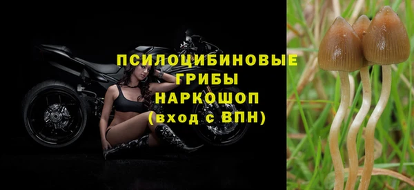 apvp Алзамай