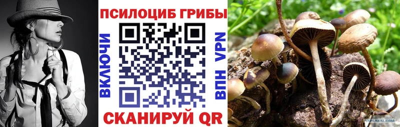 hydra   Алзамай  Псилоцибиновые грибы MAGIC MUSHROOMS 